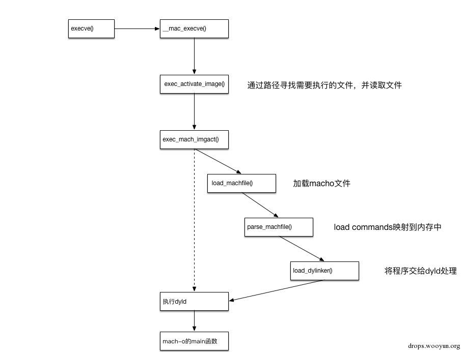 exec函数图